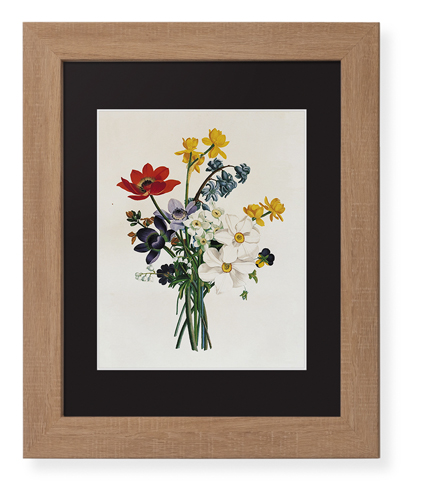 Floral Illustration Framed Print, Natural, Contemporary, White, Black, Single piece, 8x10, Multicolor