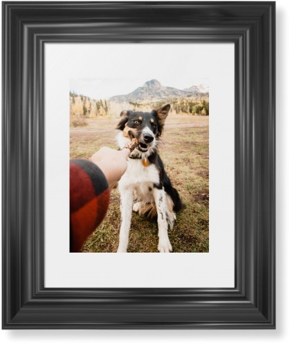 Pet Photo Gallery Framed Print, Black, Classic, White, White, Single piece, 8x10, Multicolor, multi