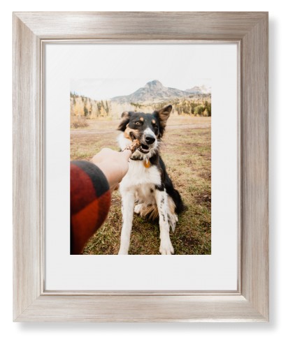Pet Photo Gallery Framed Print, Metallic, Modern, None, White, Single piece, 8x10, Multicolor