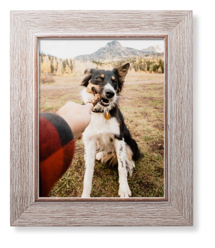 Pet Photo Gallery Framed Print, Rustic, Modern, None, None, Single piece, 8x10, Multicolor, multi
