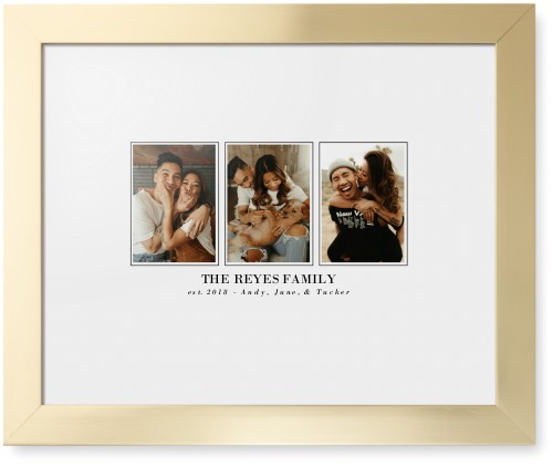 Classic Trio Framed Print, Matte Gold, Contemporary, None, White, Single piece, 11x14, White, white