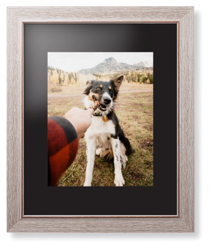 Pet Photo Gallery Framed Print, Rustic, Modern, None, Black, Single piece, 11x14, Multicolor, multi