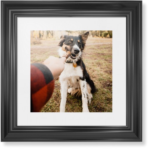 Pet Art Gifts