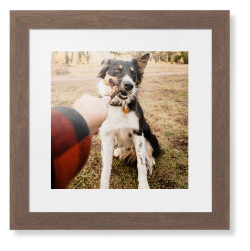 Pet Photo Gallery Framed Print, Walnut, Contemporary, White, White, Single piece, 12x12, Multicolor