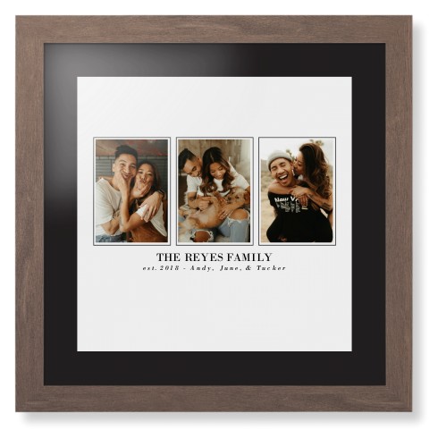 Classic Trio Framed Print, Walnut, Contemporary, None, Black, Single piece, 16x16, White