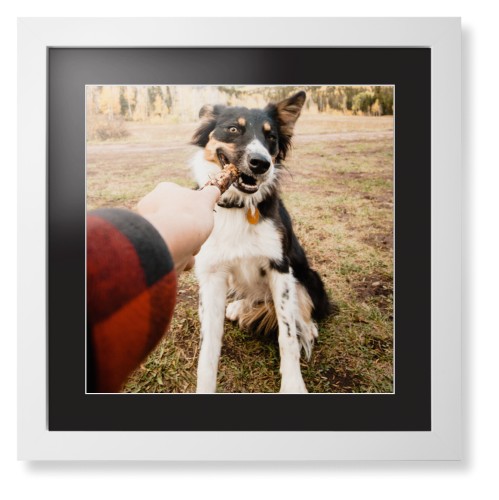 Contemporary Framed Prints