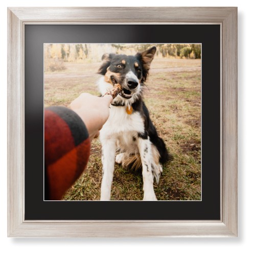 Pet Photo Gallery Framed Print, Metallic, Modern, White, Black, Single piece, 16x16, Multicolor, multi