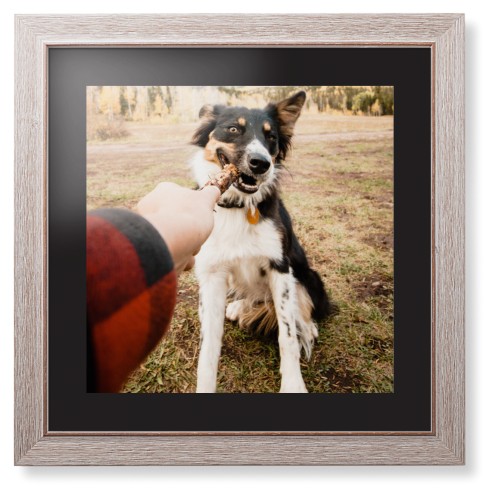 Pet Photo Gallery Framed Print, Rustic, Modern, None, Black, Single piece, 16x16, Multicolor, multi