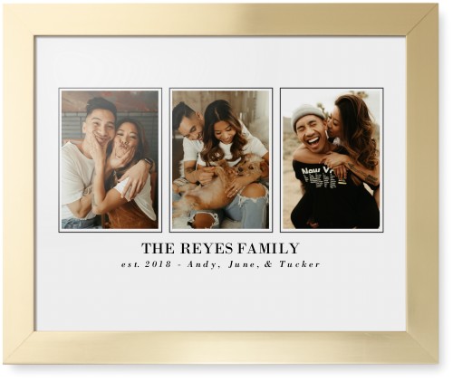 Classic Trio Framed Print, Matte Gold, Contemporary, None, None, Single piece, 16x20, White, white