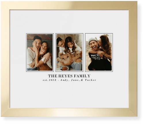 Classic Trio Framed Print, Matte Gold, Contemporary, White, White, Single piece, 16x20, White, white