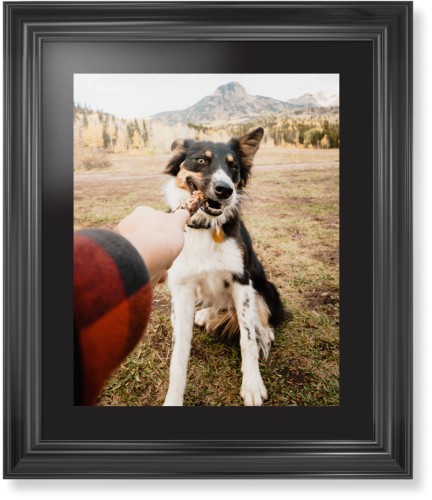 Pet Photo Gallery Framed Print, Black, Classic, Black, Black, Single piece, 16x20, Multicolor, multi