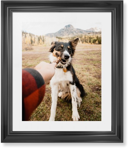 Pet Photo Gallery Framed Print, Black, Classic, White, White, Single piece, 16x20, Multicolor, multi