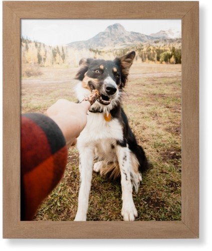 Pet Photo Gallery Framed Print, Natural, Contemporary, None, None, Single piece, 16x20, Multicolor, multi