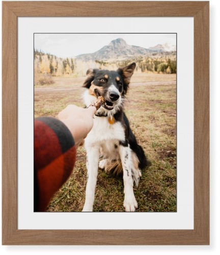 Pet Photo Gallery Framed Print, Natural, Contemporary, Black, White, Single piece, 16x20, Multicolor, multi