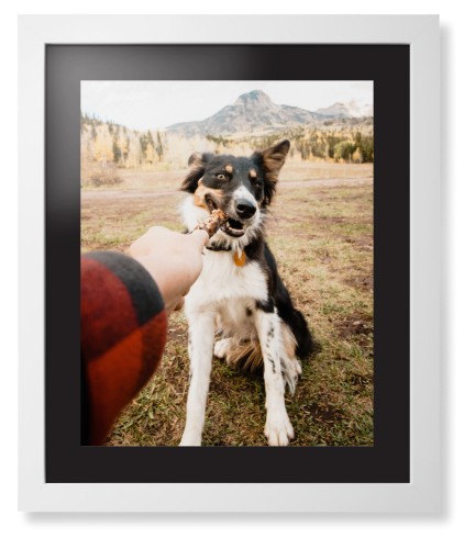 Pet Photo Gallery Framed Print, White, Contemporary, None, Black, Single piece, 16x20, Multicolor