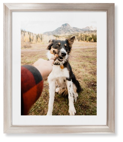 Pet Photo Gallery Framed Print, Metallic, Modern, None, White, Single piece, 16x20, Multicolor