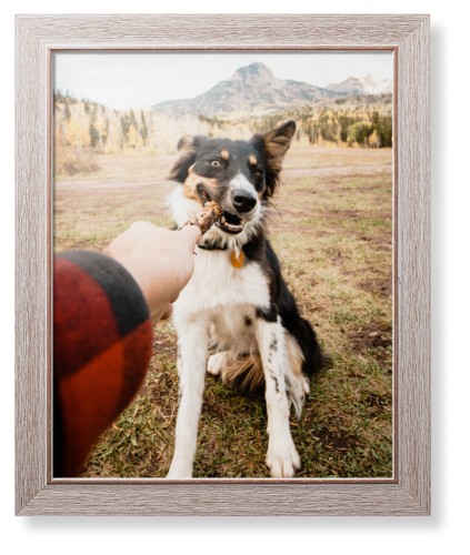 Pet Photo Gallery Framed Print, Rustic, Modern, None, None, Single piece, 16x20, Multicolor, multi