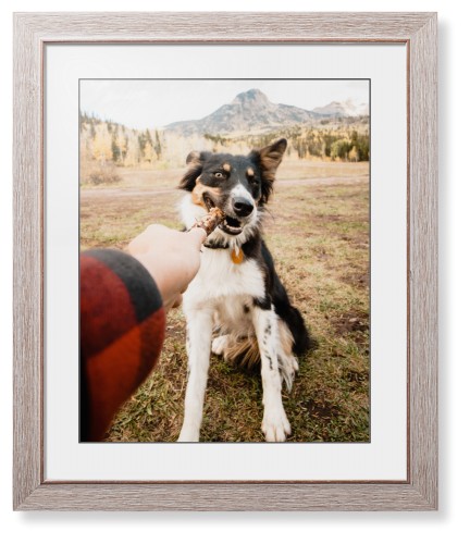 Pet Photo Gallery Framed Print, Rustic, Modern, Black, White, Single piece, 16x20, Multicolor, multi