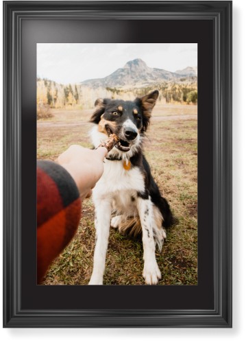 Pet Photo Gallery Framed Print, Black, Classic, None, Black, Single piece, 20x30, Multicolor