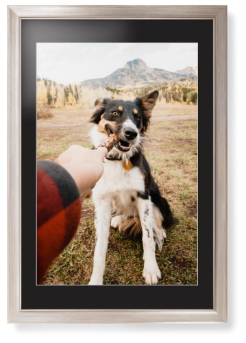 Pet Photo Gallery Framed Print, Metallic, Modern, White, Black, Single piece, 20x30, Multicolor
