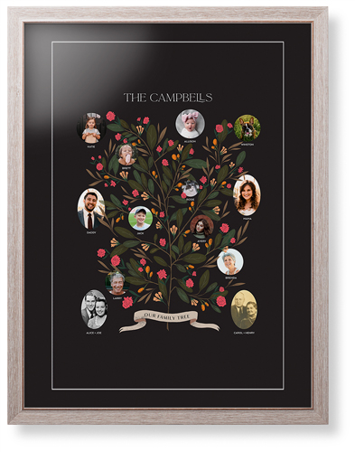 Blooming Family Tree Framed Print, Rustic, Modern, White, Black, Single piece, 24x36, Black