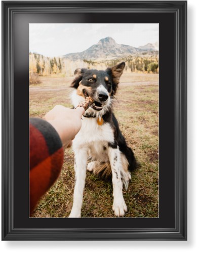 Pet Photo Gallery Framed Print, Black, Classic, White, Black, Single piece, 24x36, Multicolor