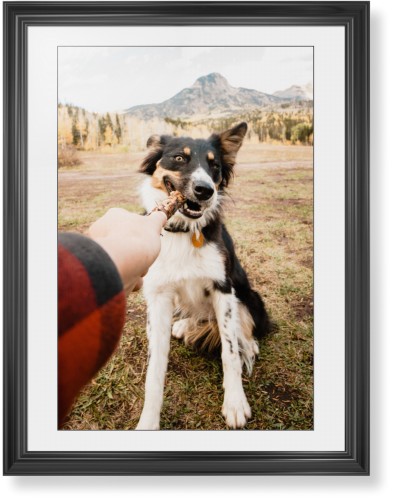 Pet Photo Gallery Framed Print, Black, Classic, Black, White, Single piece, 24x36, Multicolor