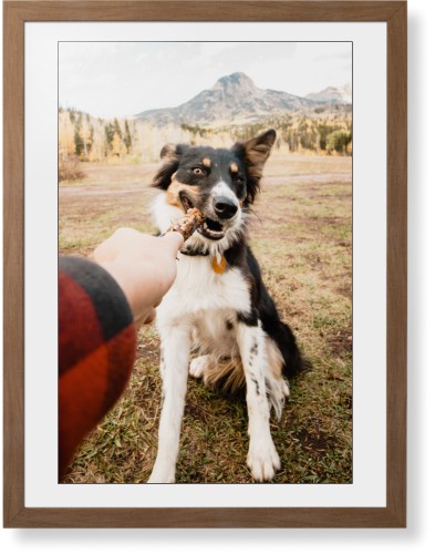 Pet Photo Gallery Framed Print, Natural, Contemporary, Black, White, Single piece, 24x36, Multicolor