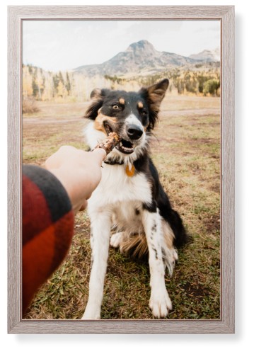 Pet Photo Gallery Framed Print, Rustic, Modern, None, None, Single piece, 24x36, Multicolor, multi