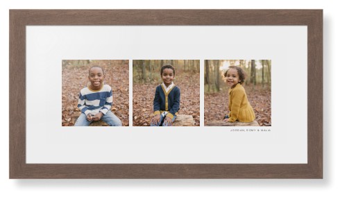 Panoramic Gallery of Three Framed Print, Walnut, Contemporary, None, White, Single piece, 10x24, Multicolor