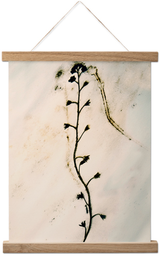 Pressed Flower Hanging Canvas Print, Natural, 11x14, Multicolor
