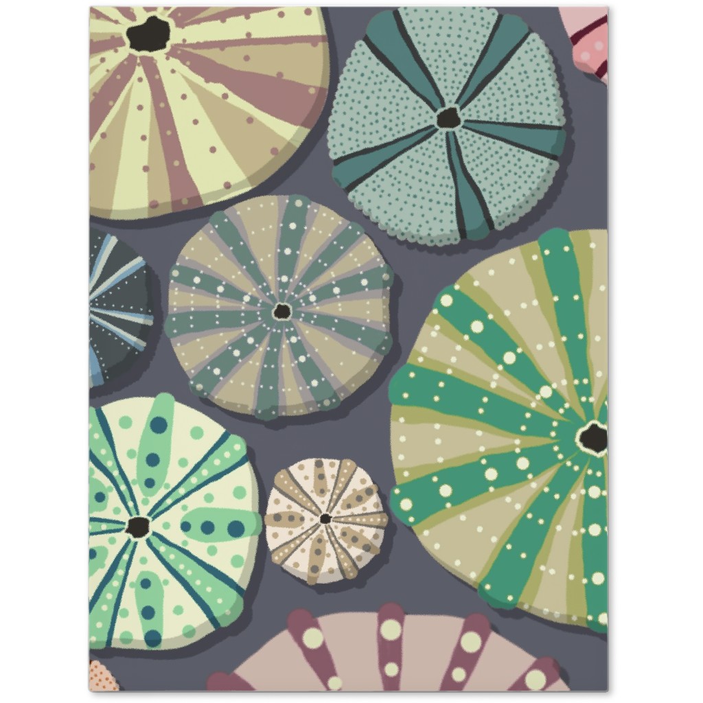 Sea Urchins - Multi Journal, Multicolor