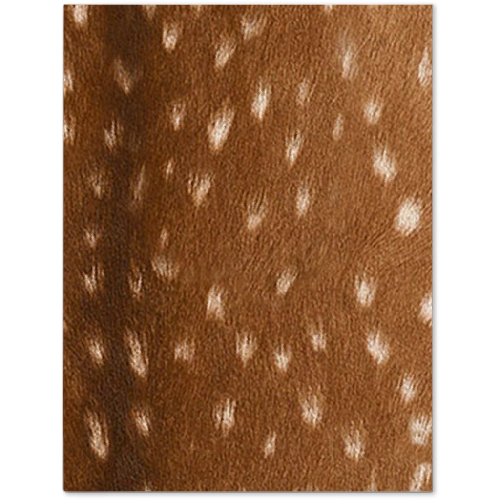 Bright Deer Hide- Brown Journal, Brown, Brown