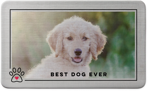 best dog mat