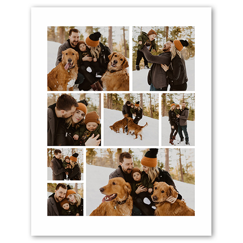 Gallery of Eleven, -8x10-Multicolor
