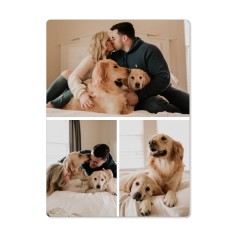 Gallery of Three Pet