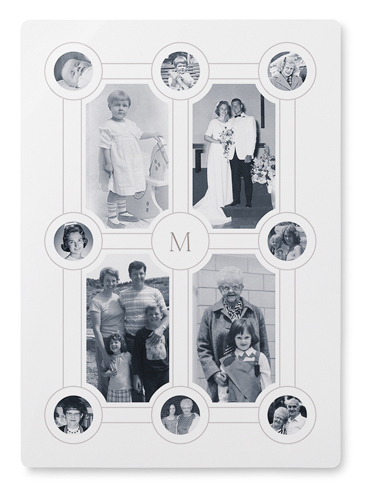 Vintage Family Tree Wall Art, No Frame, Single piece, Metal, 10x14, Glossy, White, white