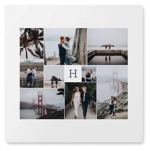 Nine Lives Wall Art, No Frame, Single piece, Metal, 16x16, Matte, Multicolor, multi