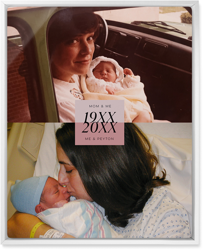 Then and Now Wall Art, White, Single piece, Metal, 16x20, Glossy, Pink, desert rose