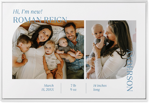 Favorite Infographic Wall Art, White, Single piece, Metal, 24x36, Matte, White, white