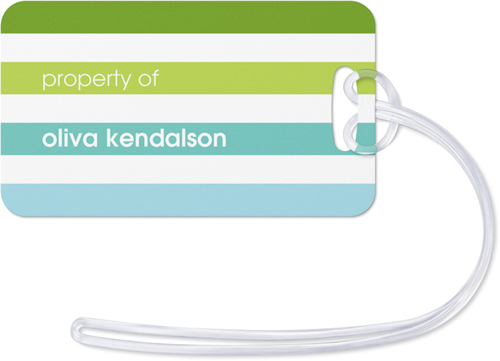 Colorful Stripes Luggage Tag, Large, Blue, seafoam