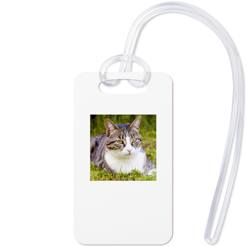 Pets Gallery of One Luggage Tag, Small, Multicolor