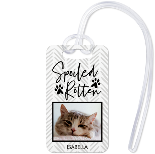 Playful Patterns Spoiled Luggage Tag, Small, Gray
