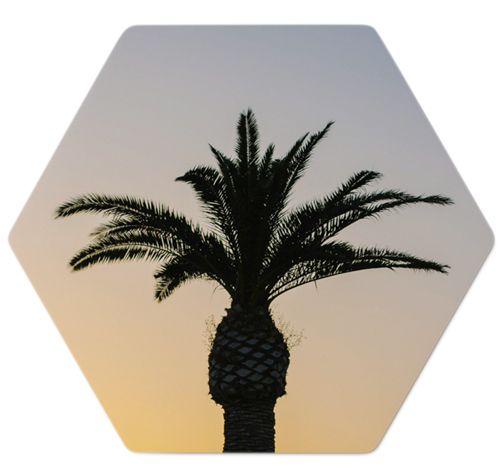 Photo Gallery Metal Magnet, 4, Multicolor, multi