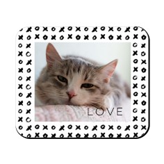 Pet Gallery with Border