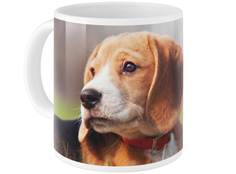 pets photo gallery mug