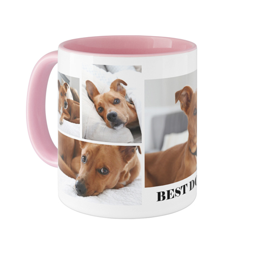 Decor Gifts For Pet Lovers