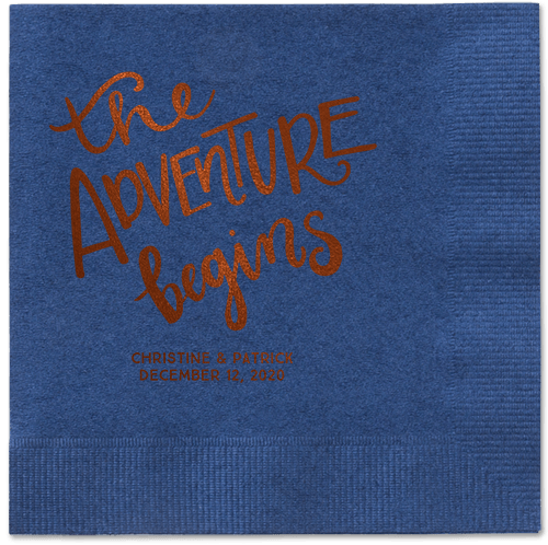 Remarkable Adventure Napkins, Brown, Navy, Mocha