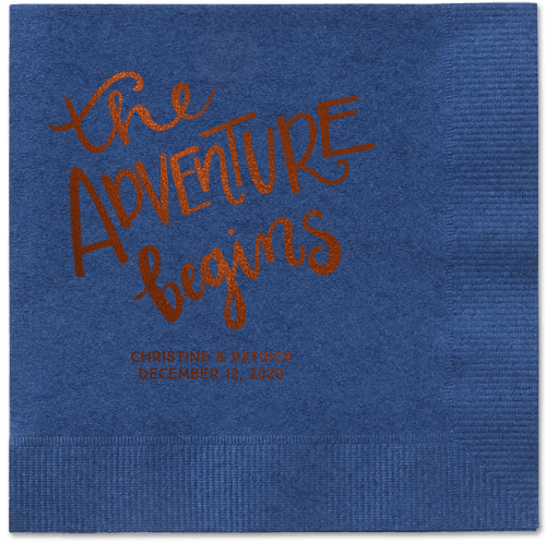 Remarkable Adventure Napkins, Brown, Navy