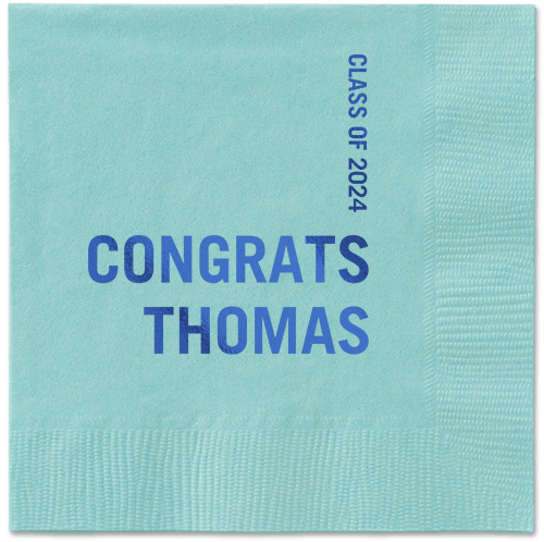 Bold Acclaim Napkin, Blue, Aqua